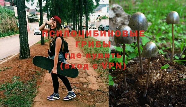 Альфа ПВП Нязепетровск